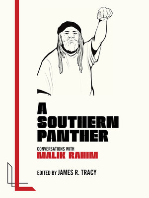 cover image of A Southern Panther